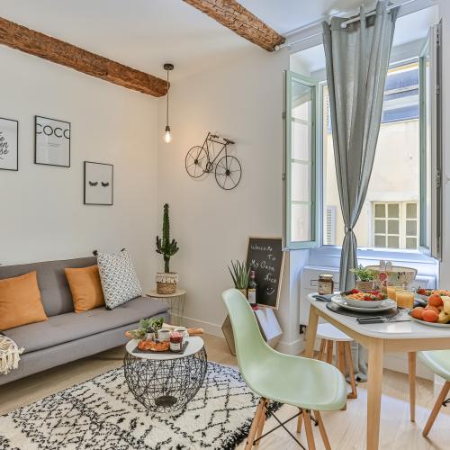 CIVETTE 42 - Place Garibaldi - New 1 bedroom apartment - A/C